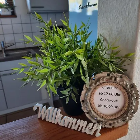 Schoene Einzimmer Zwischen Bodensee Und Allgaeu