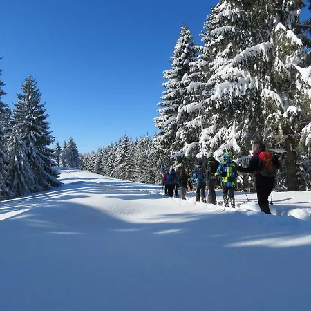 Schoene Einzimmer Zwischen Bodensee Und Allgaeu شقة